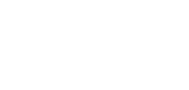 BVZ NÖN